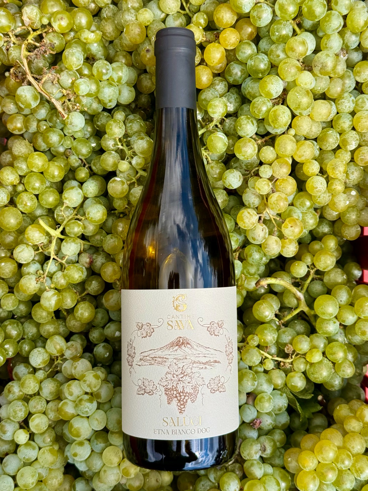Etna Bianco DOC