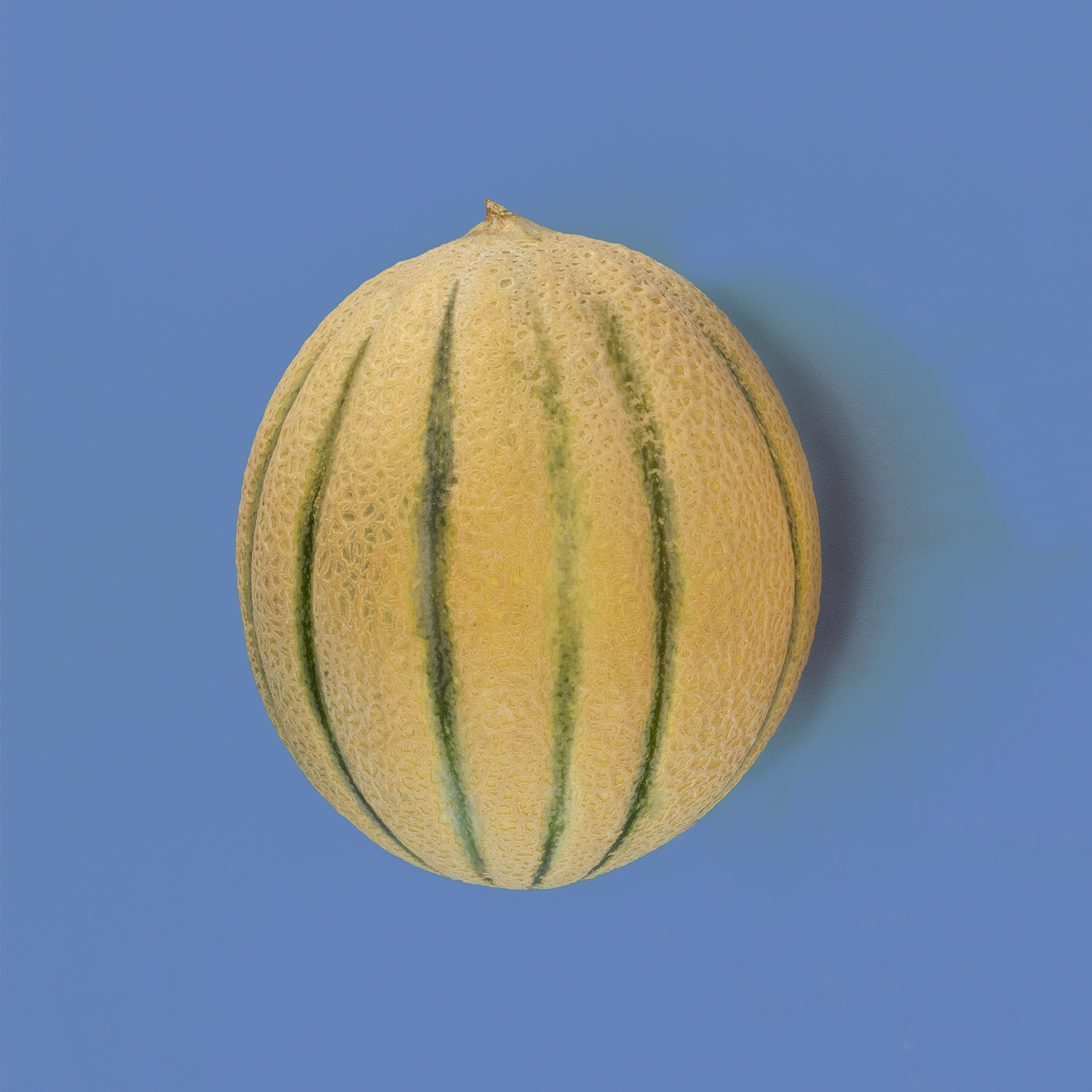 melone-retato